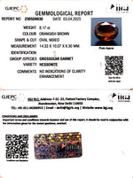 Load image into Gallery viewer, 8.17/CT Natural Govt. Lab Certified Ceylonese Gomed-(1221)