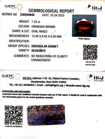 Load image into Gallery viewer, 7.33/CT Natural Govt. Lab Certified Ceylonese Gomed-(1221)
