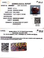 Load image into Gallery viewer, 6.72/CT Natural Govt. Lab Certified Ceylonese Gomed-(1221)