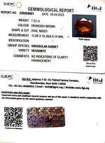 Load image into Gallery viewer, 7.53/CT Natural Govt. Lab Certified Ceylonese Gomed-(1221)