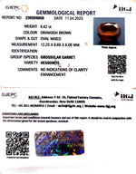 Load image into Gallery viewer, 6.62/CT Natural Govt. Lab Certified Ceylonese Gomed-(1221)