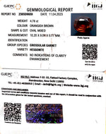 Load image into Gallery viewer, 4.76/CT Natural Govt. Lab Certified Ceylonese Gomed-(1221)