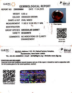 Load image into Gallery viewer, 6.69/CT Natural Govt. Lab Certified Ceylonese Gomed-(1221)