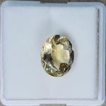 Load image into Gallery viewer, Golden Topaz-450