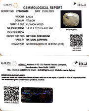 8.45/CT Natural Ceylonese Pukhraj with Govt Lab Certificate (6771)