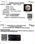 Load image into Gallery viewer, 8.53/CT Natural Ceylonese Pukhraj with Govt Lab Certificate-6771