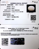 Load image into Gallery viewer, 4.81/CT Natural Opal with Govt. Lab Certificate (832)