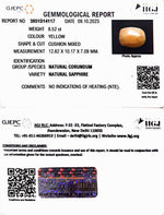 Load image into Gallery viewer, 8.52/CT Natural Ceylonese Pukhraj with Govt Lab Certificate (1221)