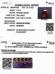 2.54/CT Natural Govt. Lab Certified Ceylonese Gomed