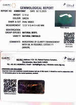 Load image into Gallery viewer, 3.14/CT Natural Panna Stone with Govt. Lab Certificate (23310)