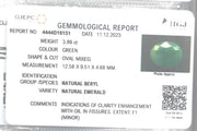 3.99/CT Natural Panna Stone with Govt. Lab Certificate (1221)