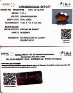 Load image into Gallery viewer, 3.17/CT Natural Govt. Lab Certified Ceylonese Gomed (1221)