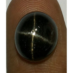 Load image into Gallery viewer, 6.78/CT Natural Black Star Gemstone