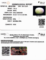 Load image into Gallery viewer, 7.55/CT Natural Fire Opal with Govt. Lab Certificate (4551)