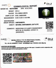 3.65/CT Natural Chrysoberyl Cat's Eye with Govt. Lab Certificate (6771)