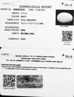 Load image into Gallery viewer, 4.75/CT Natural Fire Opal with Govt. Lab Certificate-8991