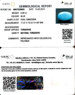 Load image into Gallery viewer, 6.68/CT Natural Govt. Lab Certified Turquoise-832