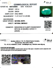3.00/CT Natural Panna Stone with Govt. Lab Certificate-1665