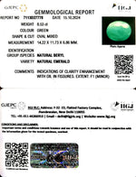 Load image into Gallery viewer, 8.53/CT Natural Panna Stone with Govt. Lab Certificate-2331