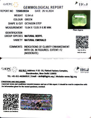12.64/CT Natural Panna Stone with Govt. Lab Certificate-6771