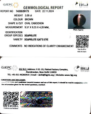 3.09/CT Natural Scapolite Cat's Eye with Govt. Lab Certificate-1221