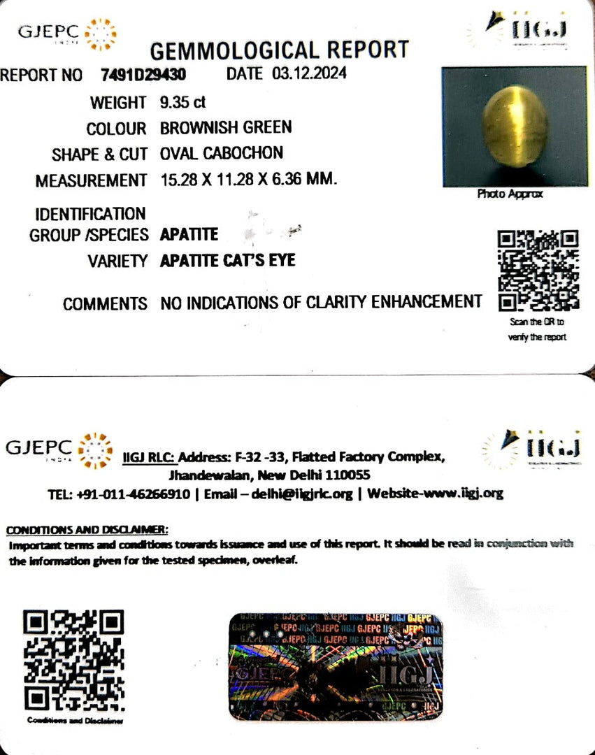 9.35/CT Natural Apatite Cat's Eye with Govt. Lab certificate-1221