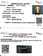 Load image into Gallery viewer, 9.12/CT Natural Apatite Cat's Eye with Govt. Lab certificate-1221
