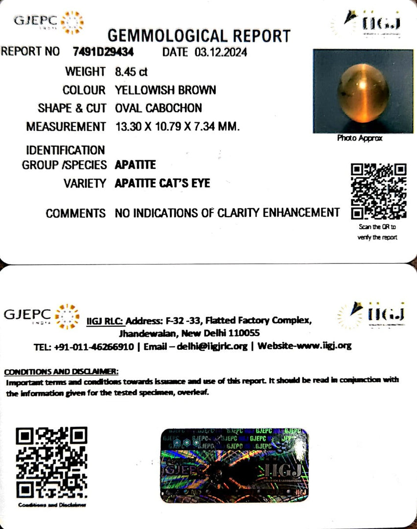 8.45/CT Natural Apatite Cat's Eye with Govt. Lab certificate-1221