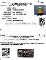 Load image into Gallery viewer, 7.62/CT Natural Apatite Cat's Eye with Govt. Lab certificate-1221