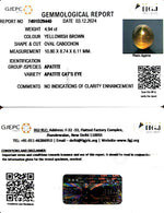 Load image into Gallery viewer, 4.94/CT Natural Apatite Cat's Eye with Govt. Lab certificate-1221