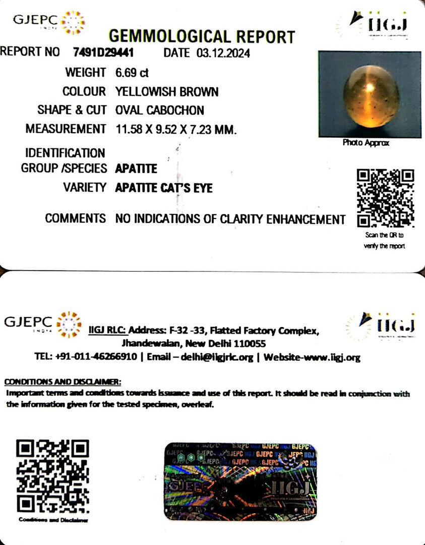 6.69/CT Natural Apatite Cat's Eye with Govt. Lab certificate-1221