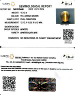 Load image into Gallery viewer, 10.12/CT Natural Apatite Cat's Eye with Govt. Lab certificate-1221