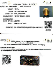 10.12/CT Natural Apatite Cat's Eye with Govt. Lab certificate-1221