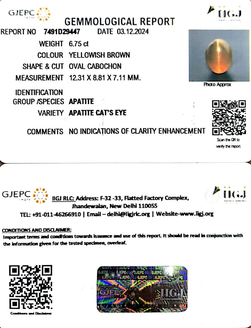 6.75/CT Natural Apatite Cat's Eye with Govt. Lab certificate-1221