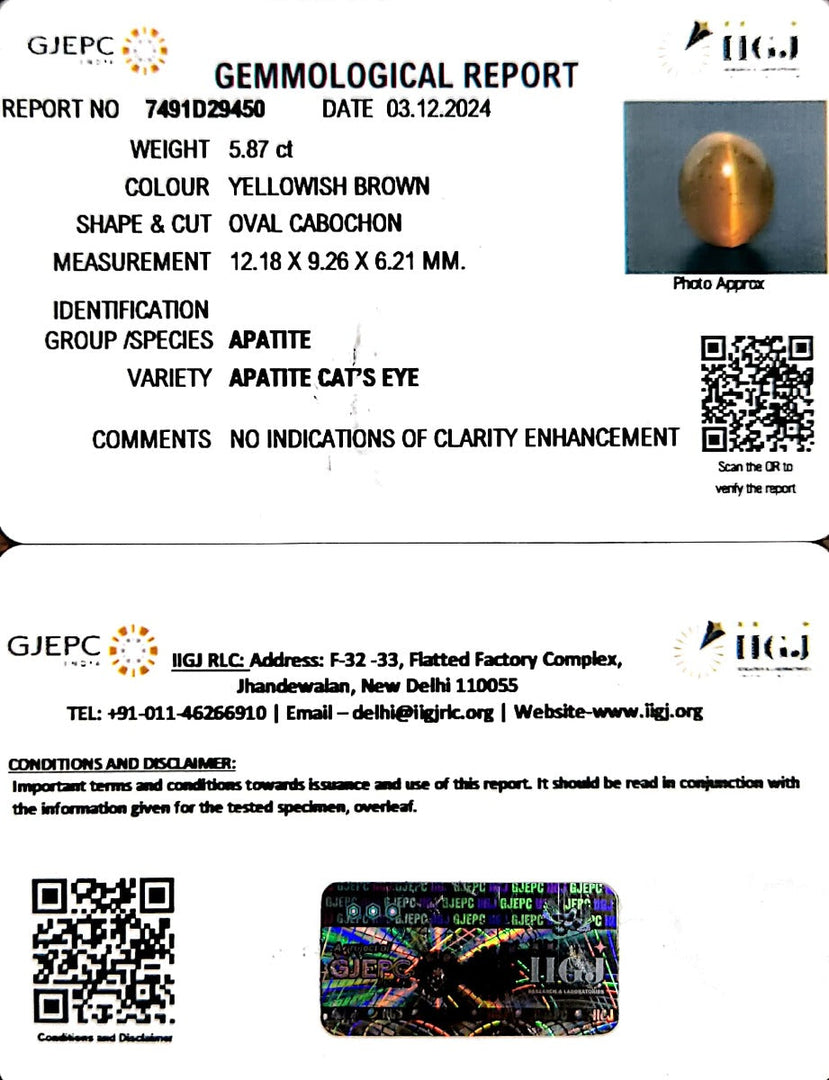 5.87/CT Natural Apatite Cat's Eye with Govt. Lab certificate-1221