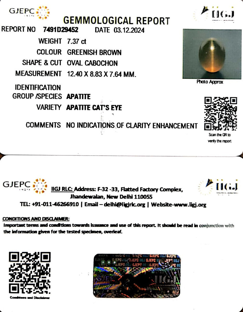 7.36/CT Natural Apatite Cat's Eye with Govt. Lab certificate-1221