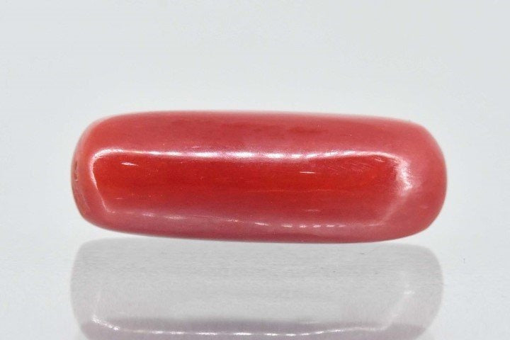 6.34/Carat Natural Cylindrical Red Coral-1800