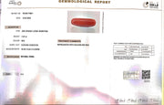 7.07/Carat Natural Cylindrical Red Coral (1800)