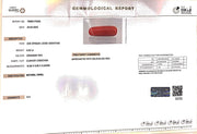 6.63/Carat Natural Cylindrical Red Coral (1500)