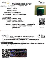 Load image into Gallery viewer, 11.88/CT Natural Panna Stone with Govt. Lab Certificate-4551