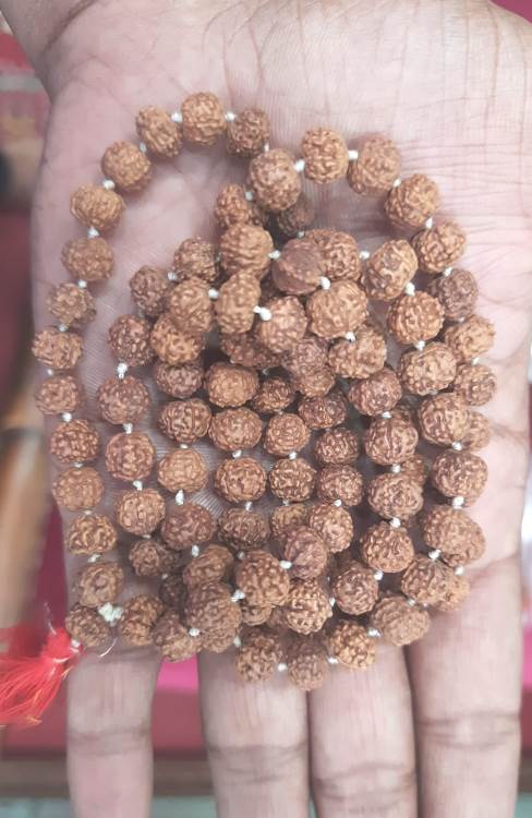 SEVEN MUKHI RUDRAKSHA MALA (3500)