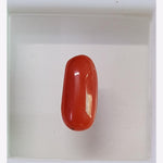 Load image into Gallery viewer, Natural Italian Moonga