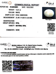 13.61/CT Natural Opal with Govt. Lab Certificate
