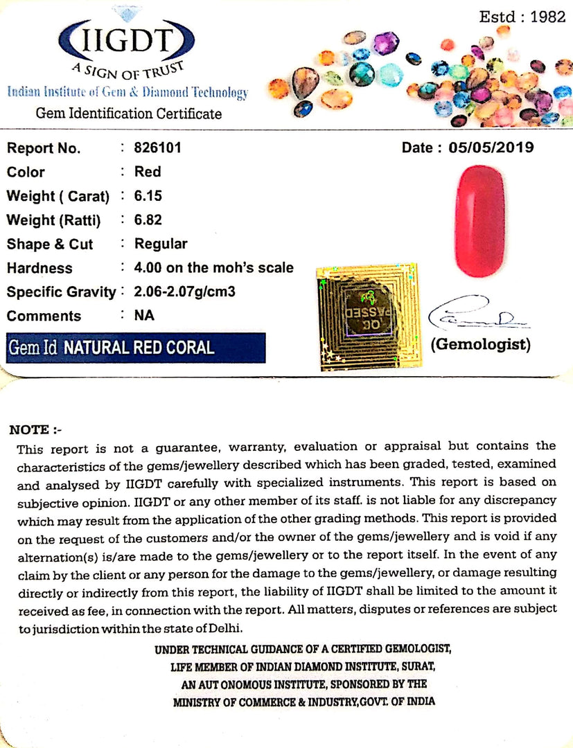 6.15/CT Natural Italian Moonga