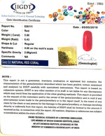 Load image into Gallery viewer, Natural Italian Moonga