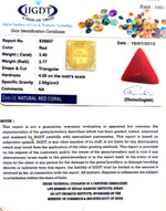 Load image into Gallery viewer, 3.78 Ratti Italian Red Coral-(1054)