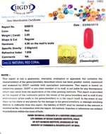 Load image into Gallery viewer, 2.05/CT Natural Italian Moonga