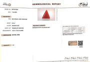 6.34/Carat Natural Triangular Red Coral (1800)