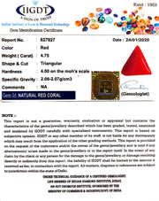 4.75/CT Ratti Natural Italian Triangular Moonga