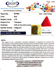 4.75/CT Natural Italian Triangular Moonga